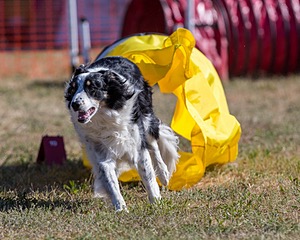 20160618-CCKC-0144.jpg