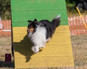 20160619-CCKC-0129.jpg