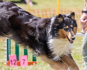 20180616-0728.jpg