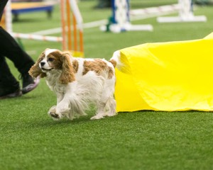 20150322-LEAP-0094.jpg