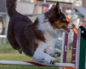 20230916-PVKC-1699.jpg