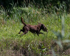 20130811-SHW-0012.jpg