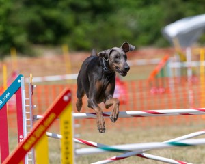 20150614-CCKC-1782.jpg