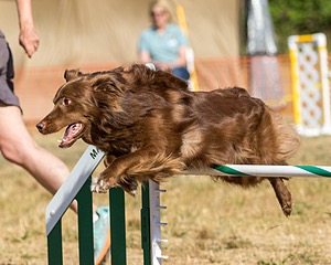 20160619-CCKC-0207.jpg