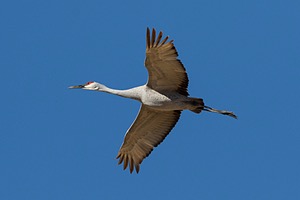 20151206-1902.jpg