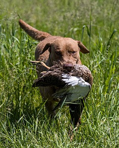 20210606-SEAL-1731.jpg
