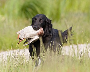 20080531-HRL-0247.jpg