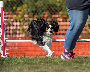 20200819-2571.jpg