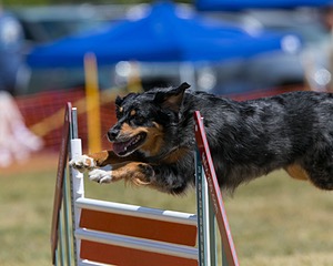 20150613-CCKC-0137.jpg