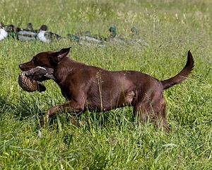 20210606-SEAL-0492.jpg