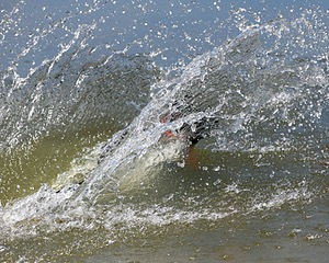 20150912-SHRW-0019.jpg