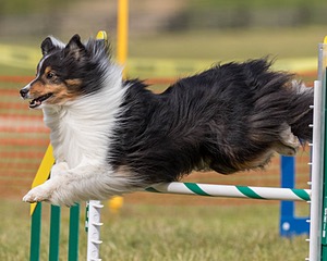 20180616-1738.jpg