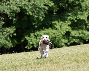 20130601-SHRL-0383.jpg