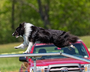 20170520-NEAT-1532.jpg