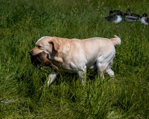 20210606-SEAL-1407.jpg