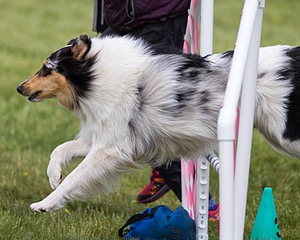20160515-NEAT-1685.jpg