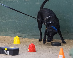 20260718-NSKC-0699.jpg