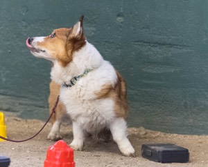 20260718-NSKC-0669.jpg