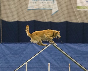 20150321-LEAP-0706.jpg