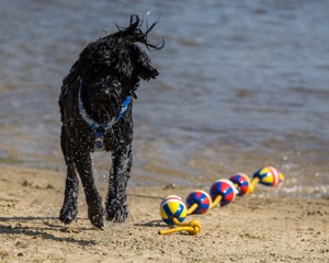 Oceano Robinson