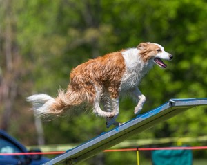 20170520-NEAT-0932.jpg