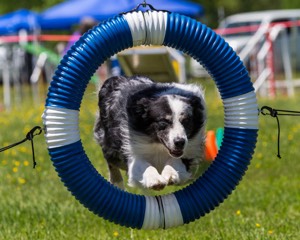 20170520-NEAT-1435.jpg