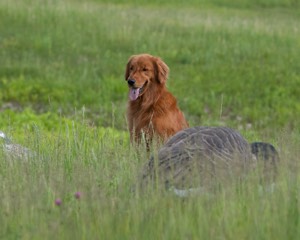 20080531-HRL-0092.jpg
