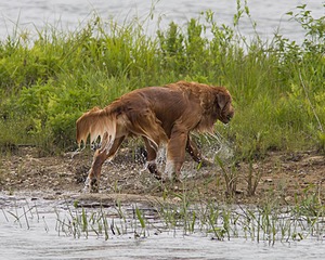 20080531-HRW-0332.jpg