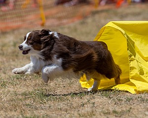 20160619-CCKC-1286.jpg