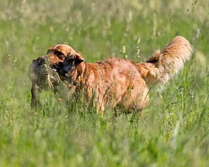 20210606-SEAL-0024.jpg
