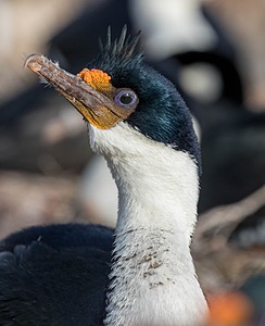 20191214-0016.jpg