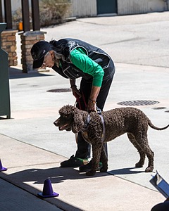 Raine