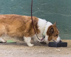 20260718-NSKC-0667.jpg