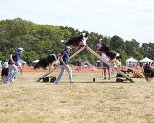 20150614-CCKCMC-0020.jpg
