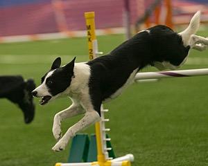 20150321-LEAP-1024.jpg