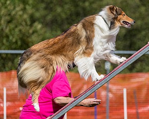 20200819-2517.jpg