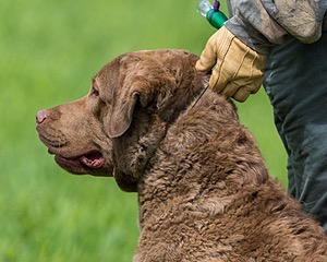 Hunter Law