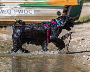 Penny Toby-Ann