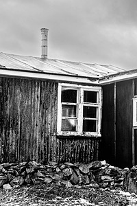 20260321-0115.jpg