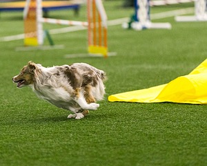 20150322-LEAP-0168.jpg