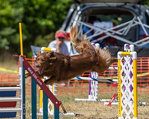 20160619-CCKC-1322.jpg