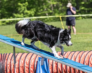 20170520-NEAT-0614.jpg