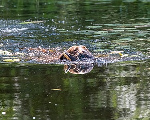 20170716-WCXW-1275.jpg