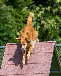 20200819-0819.jpg