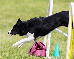 Tyme Gautreau