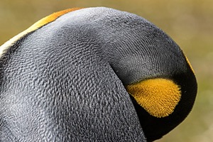 20191220-0117.jpg