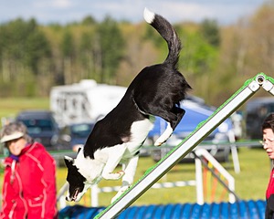 20160515-NEAT-0036.jpg