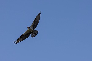 20240621-0921.jpg