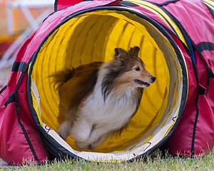 20190616-CCKC-0050.jpg