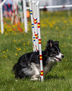 20170520-NEAT-0587.jpg